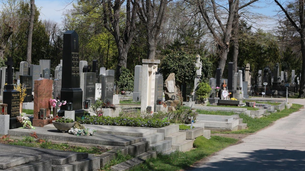 Heute.at - Deko und Kränze – Allerheiligenmärkte in Wien starten