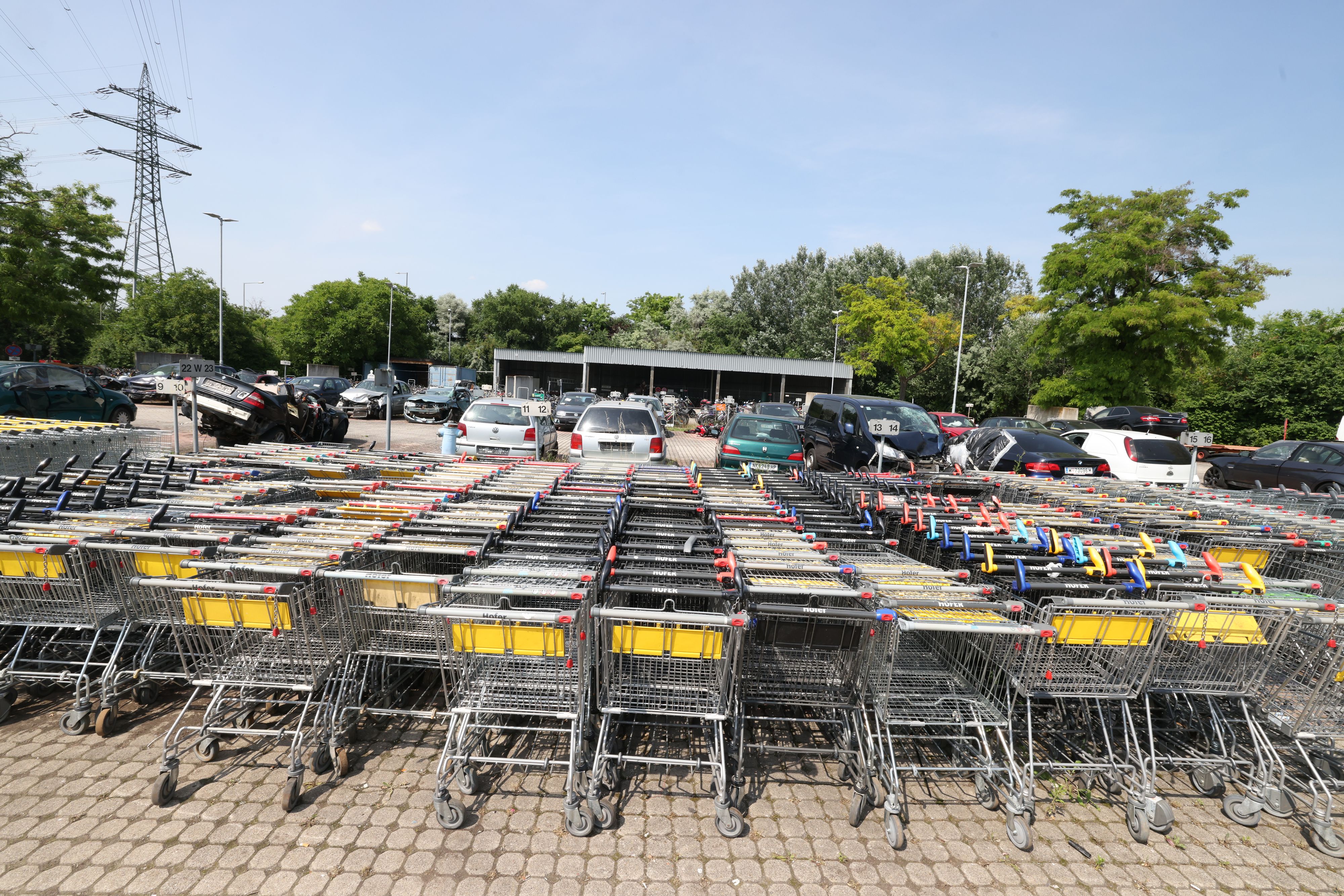 Die Einkaufswagerl lagern auf einem Mistplatz in Simmering.
