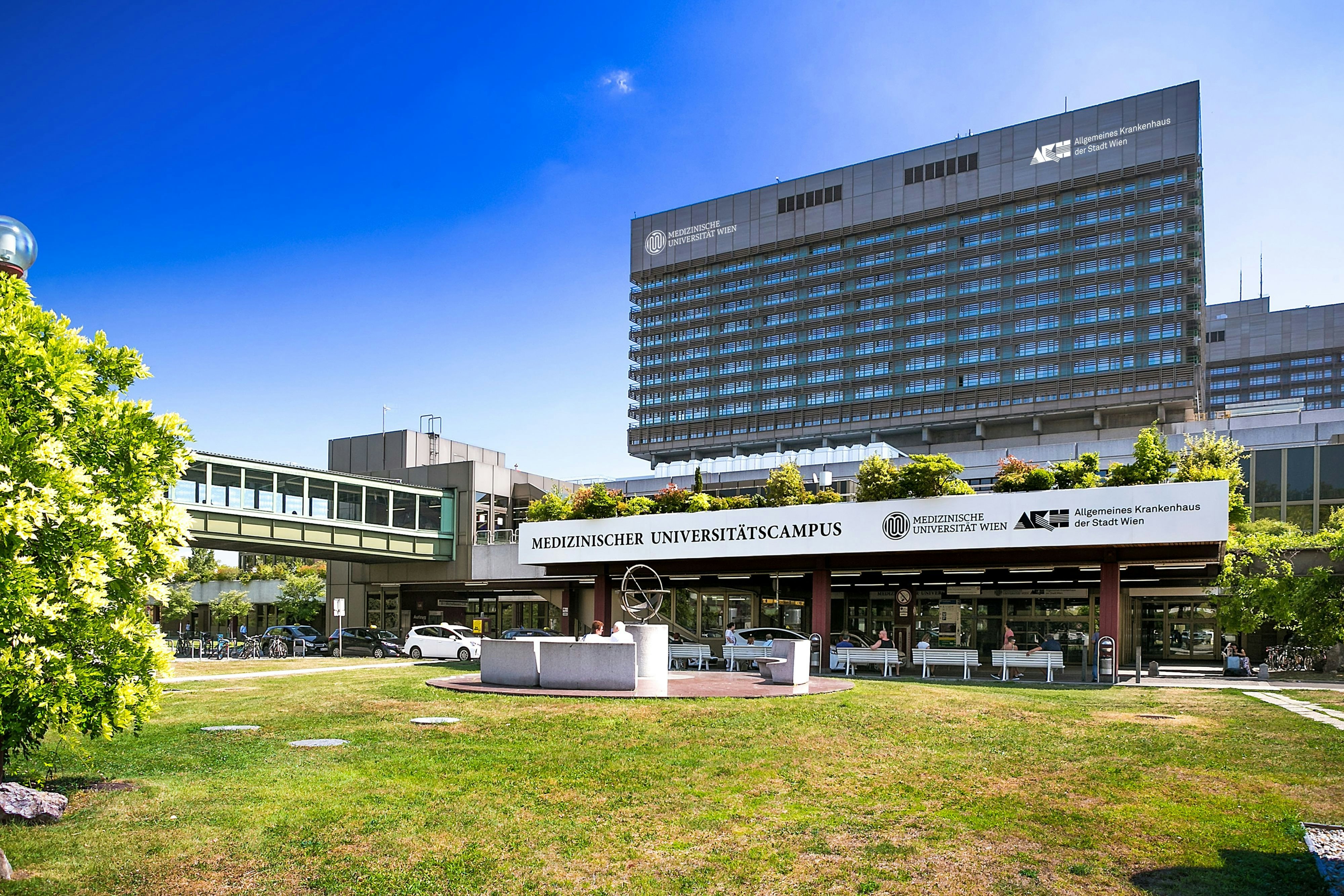 In Wien führen das AKH und die Klinik Floridsdorf Aorten-Eingriffe durch, eine Anfrage aus Rohrbach erhielten die Spitäler allerdings nicht