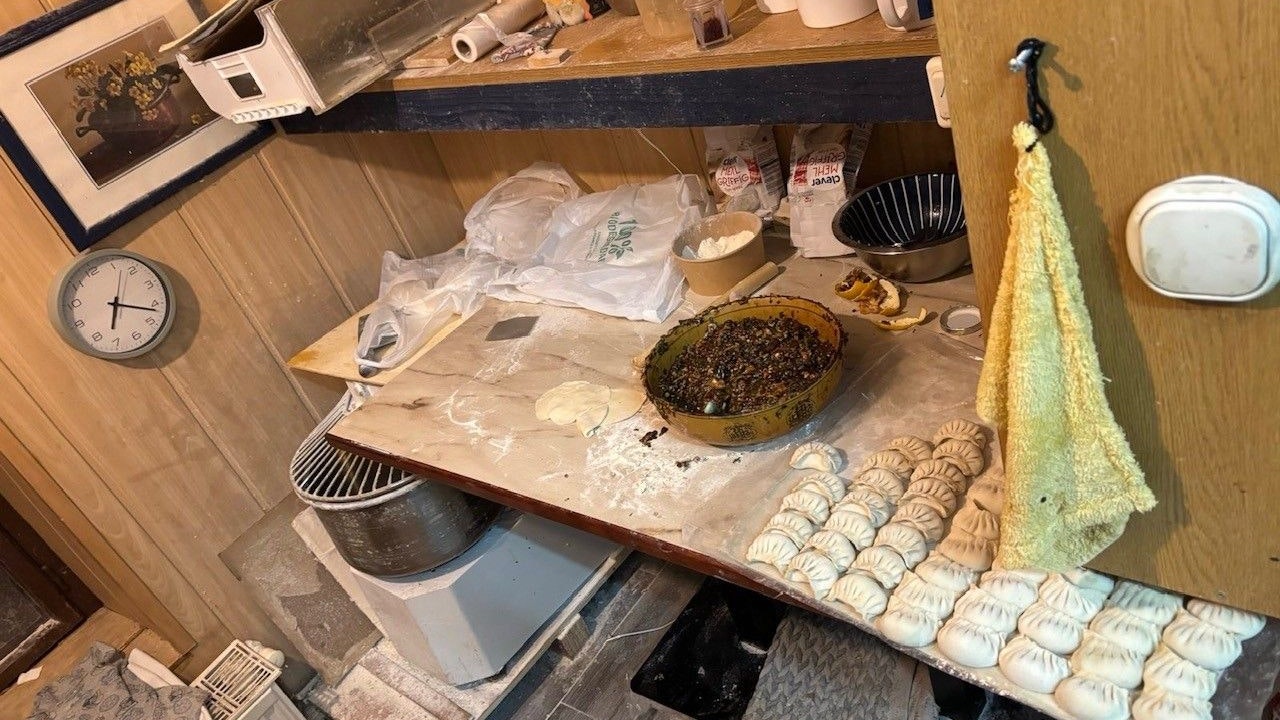 In Döbling deckte das Einsatzteam Stadt Wien, unter der Leitung der Gruppe Sofortmaßnahmen,  gravierende hygienische Missstände in einem Asia-Restaurant auf. Darunter ein erheblicher Schädlingsbefall (Mäuse). Zudem wurde eine illegale Produktionsstätte von Teigtascherl entdeckt, die weder von der Bau- noch von der Gewerbebehörde genehmigt war. Die Kontrolle ergab außerdem, dass der Betreiber die ursprüngliche Raumaufteilung ohne behördliche Genehmigung verändert hatte. Aufgrund der festgestellten Mängel und der damit verbundenen Gesundheitsgefährdung wurde der Gastgewerbebetrieb inkl. der Produktionsstätte unverzüglich behördlich gesperrt.