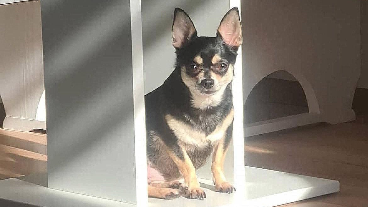 "Mandy" braucht Zeit, um Vertrauen zu gewinnen.