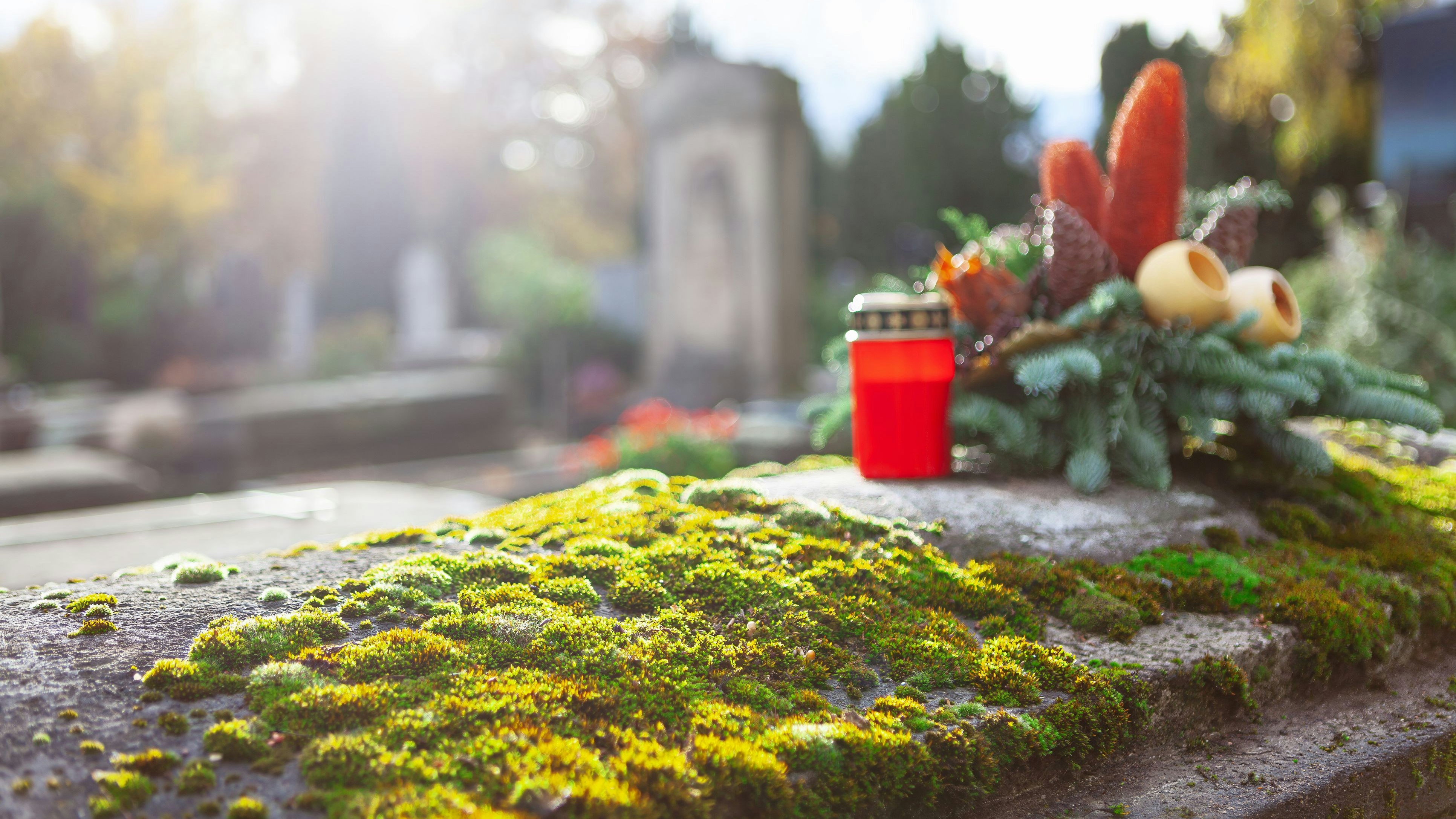 Heute.at - Grab von Kärntner Familie plötzlich verschwunden