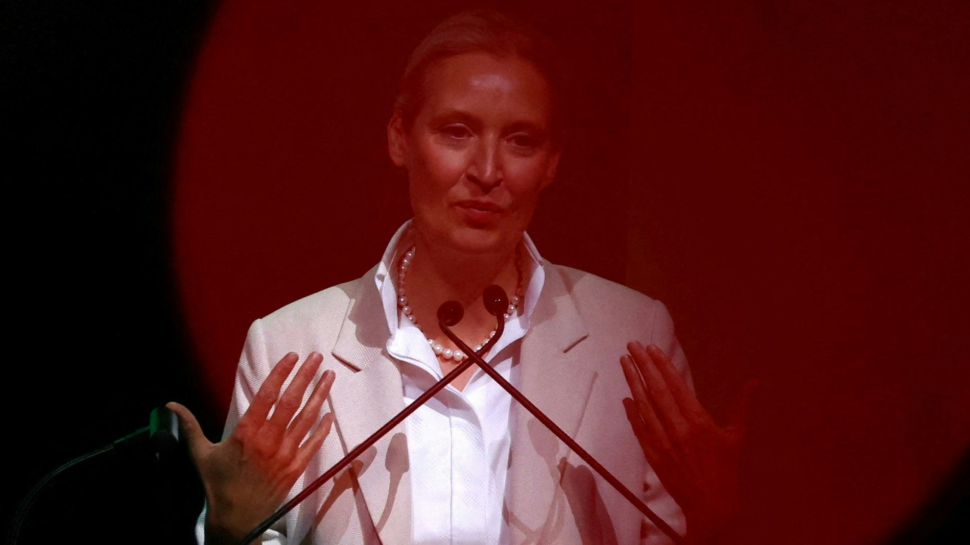 Heute.at - Neuer Anlauf zu AfD-Verbot: Trojanisches Pferd Putins