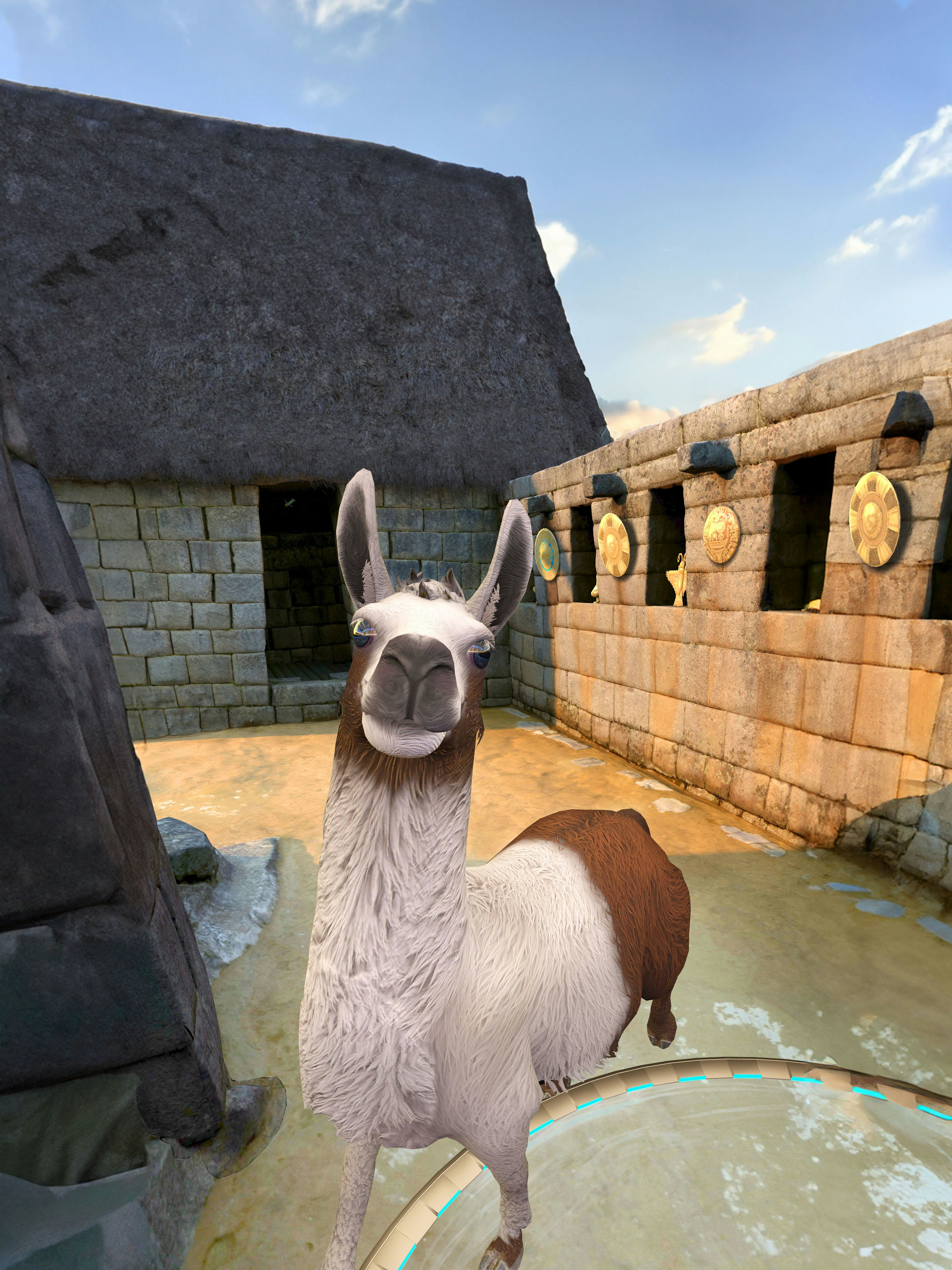 Das Lama lässt sich den Spaß nicht entgehen.