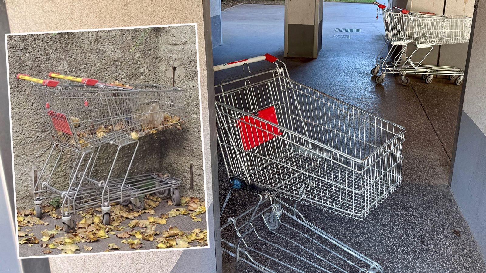 Heute.at - Kunden lassen Einkaufs-Wagerl vor Haustür stehen