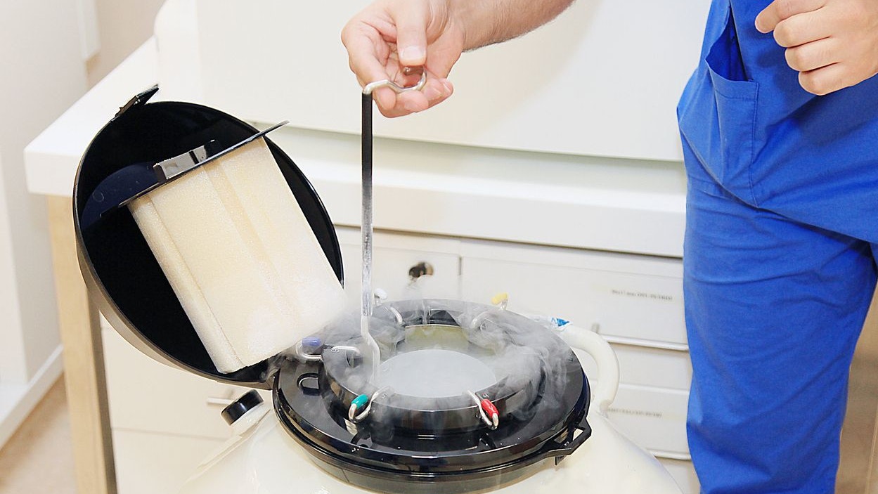 Heute.at - Social Egg Freezing künftig für alle Frauen erlaubt