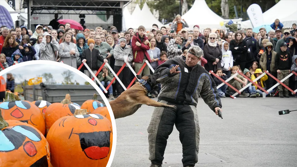 Heute.at - Bier, Kürbis und Leistungsschau – Tipps fürs Wochenende