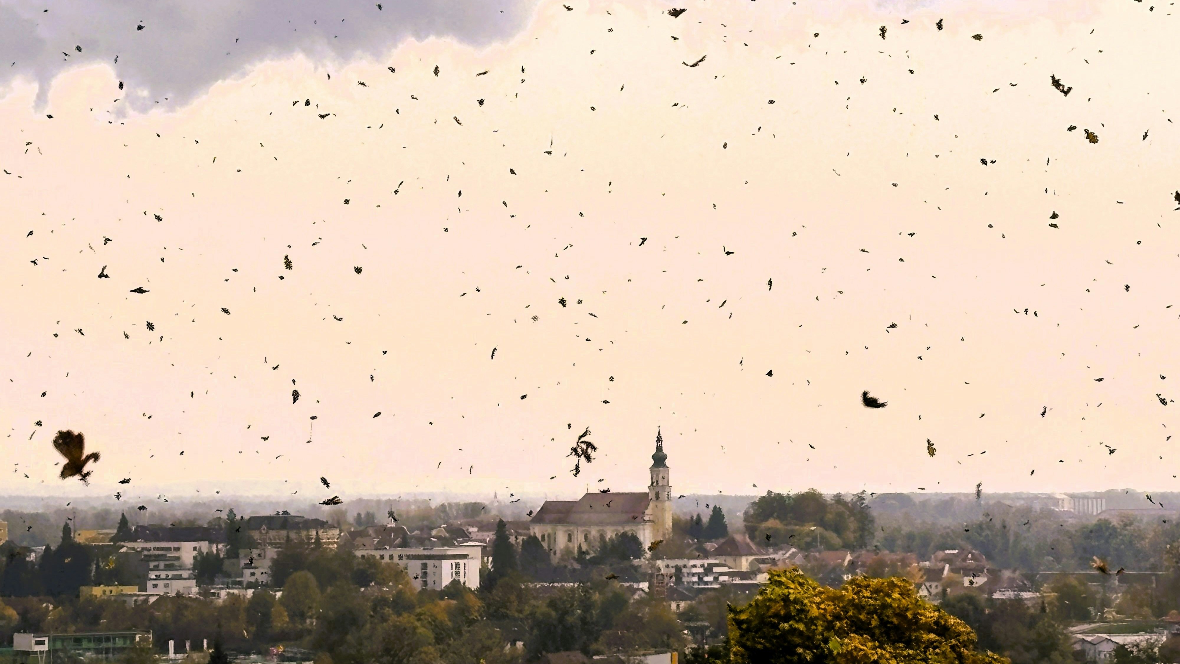 Heute.at - Sturm bis zu 90 km/h! Wetter-Walze peitscht durchs Land