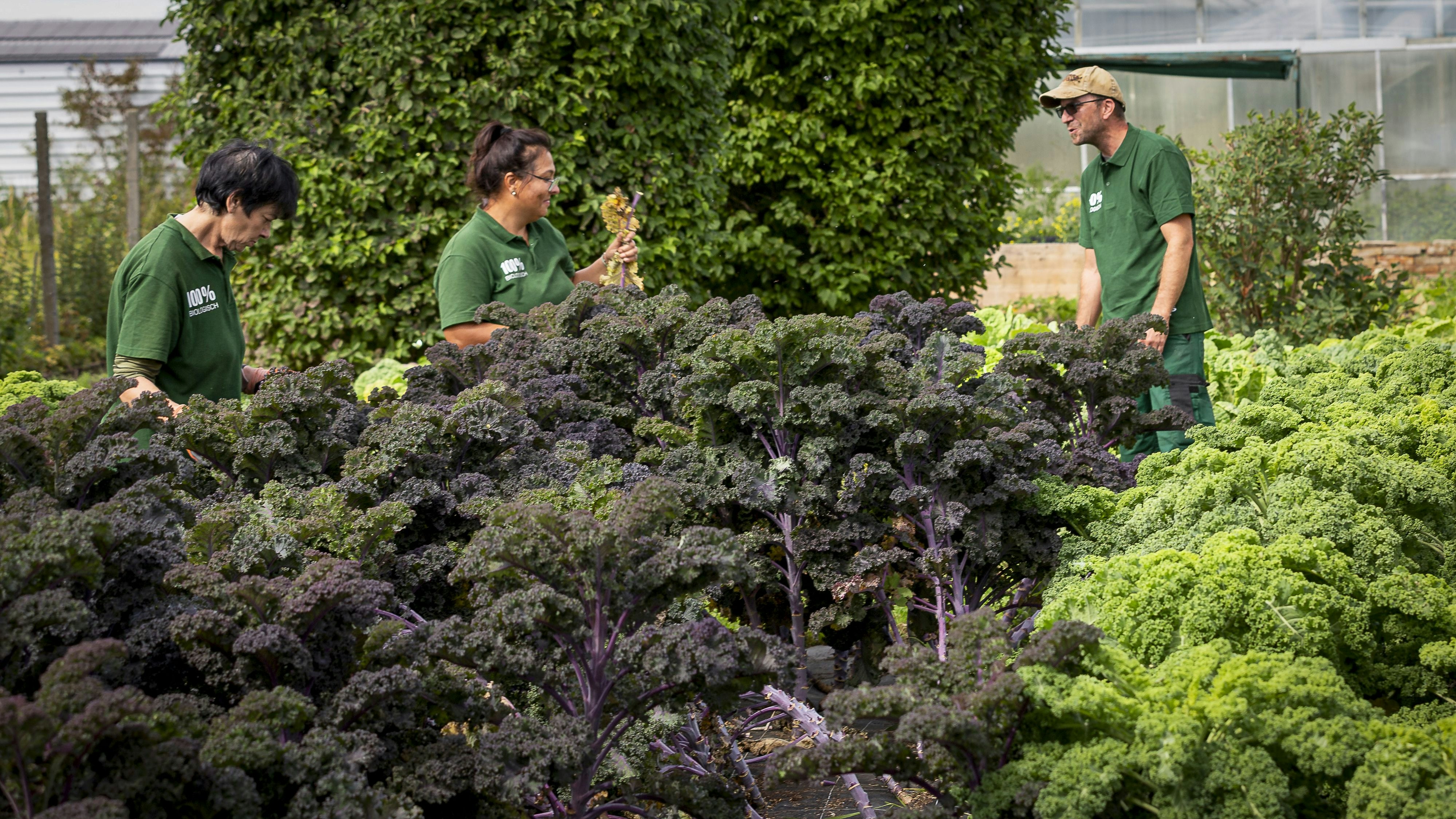 Heute.at - Arbeitslos, älter – AMS hat Jobs für Wiedereinstieg