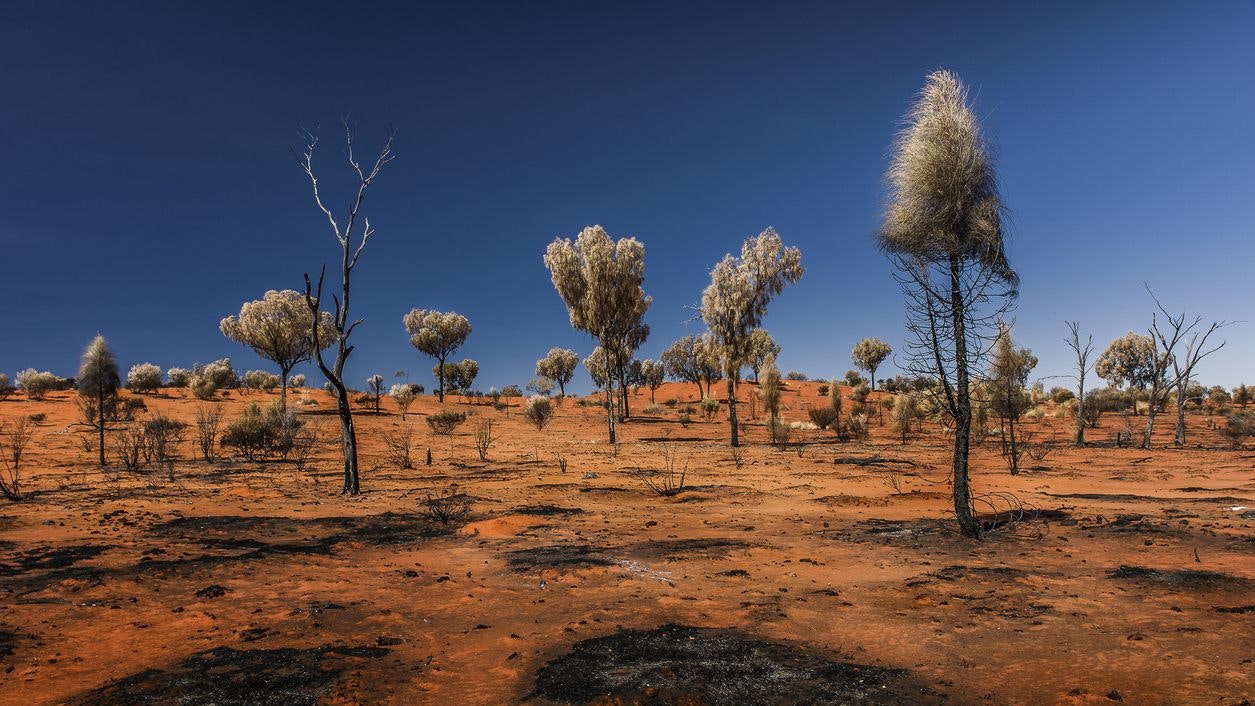 Heute.at - 40 Grad im Schatten – Höllische Hitze in Australien