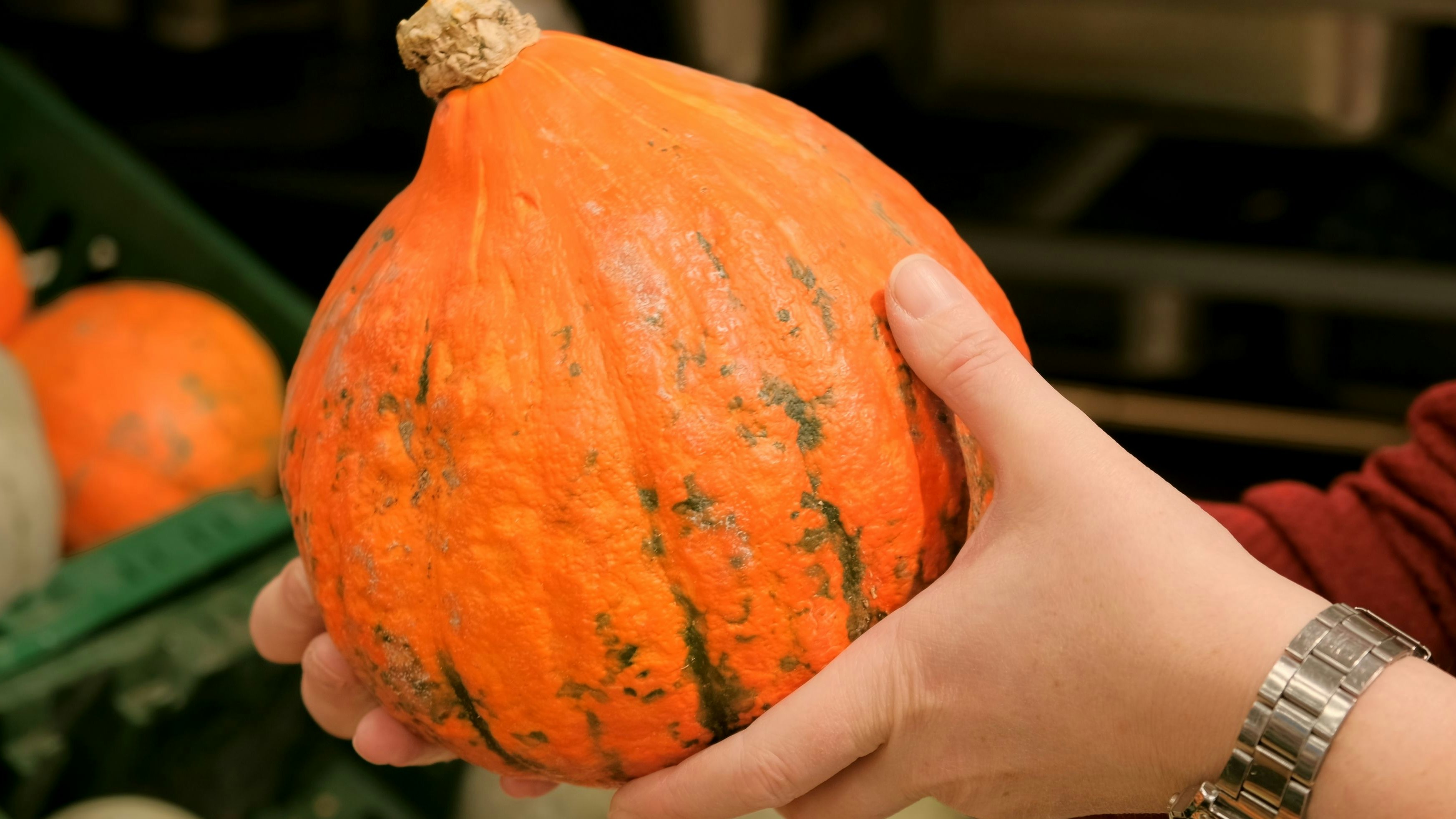 Heute.at - Diese Kürbissorte ist am gesündesten