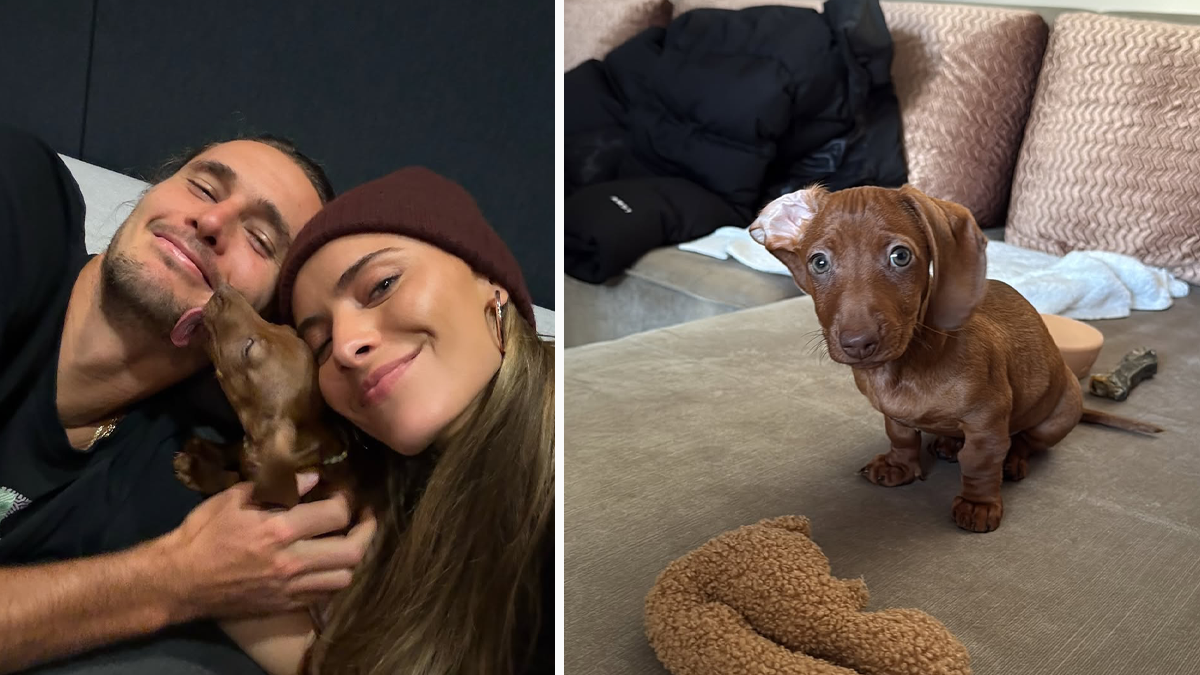 Heute.at - Süßer Welpe! Tierische Unterstützung für Zverev in Wien