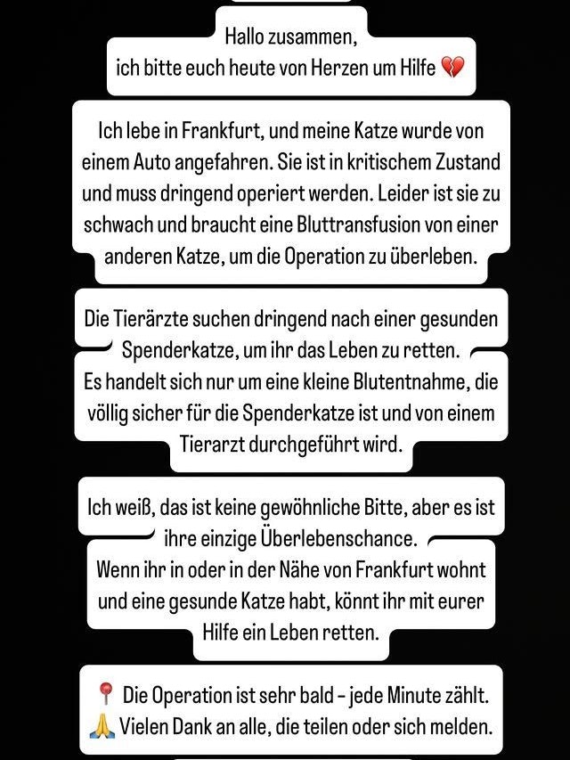 Michy Batshuayi bittet um Hilfe.