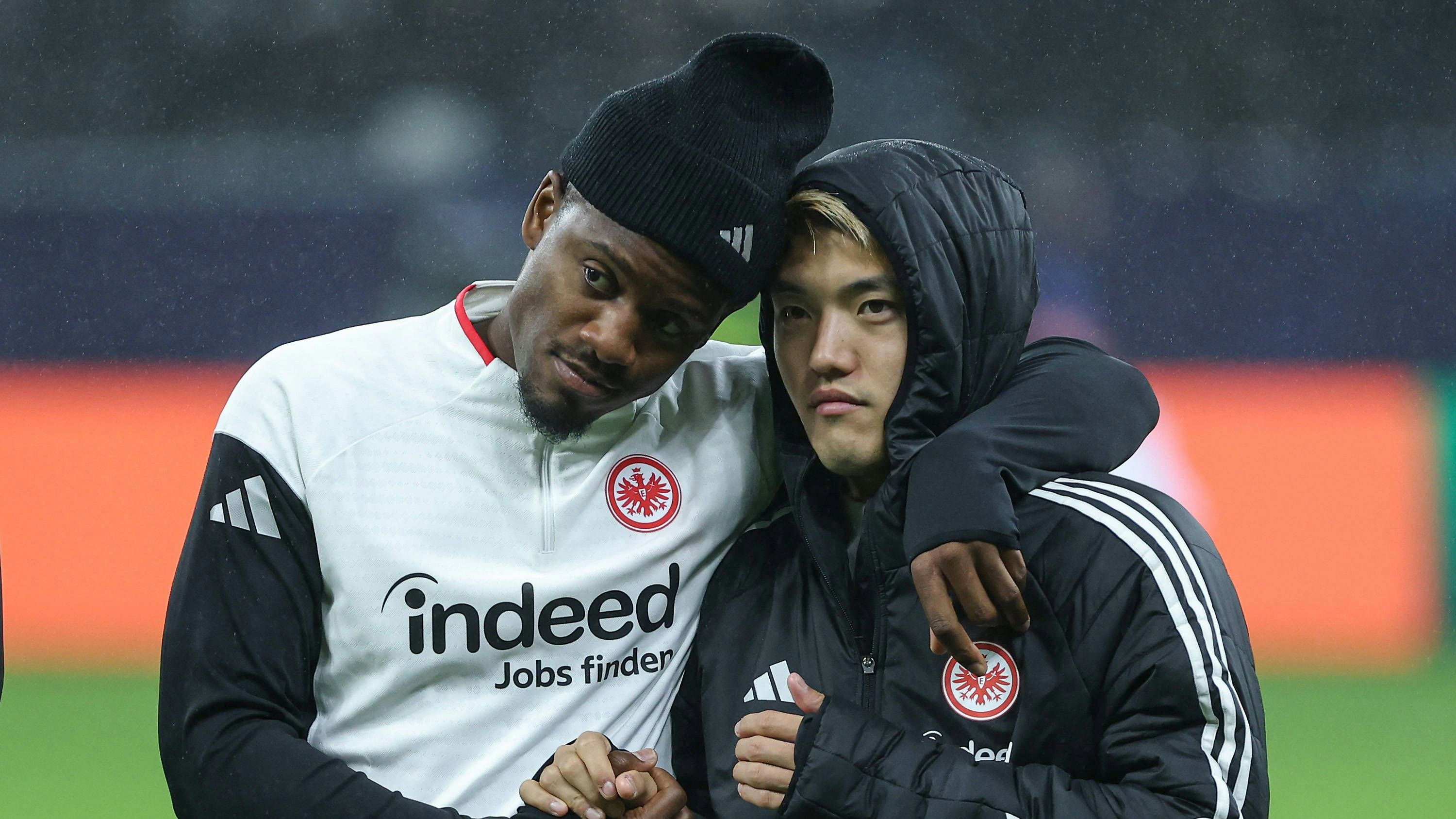 Heute.at - Jede Minute zählt: Stürmer bittet um Hilfe für Katze