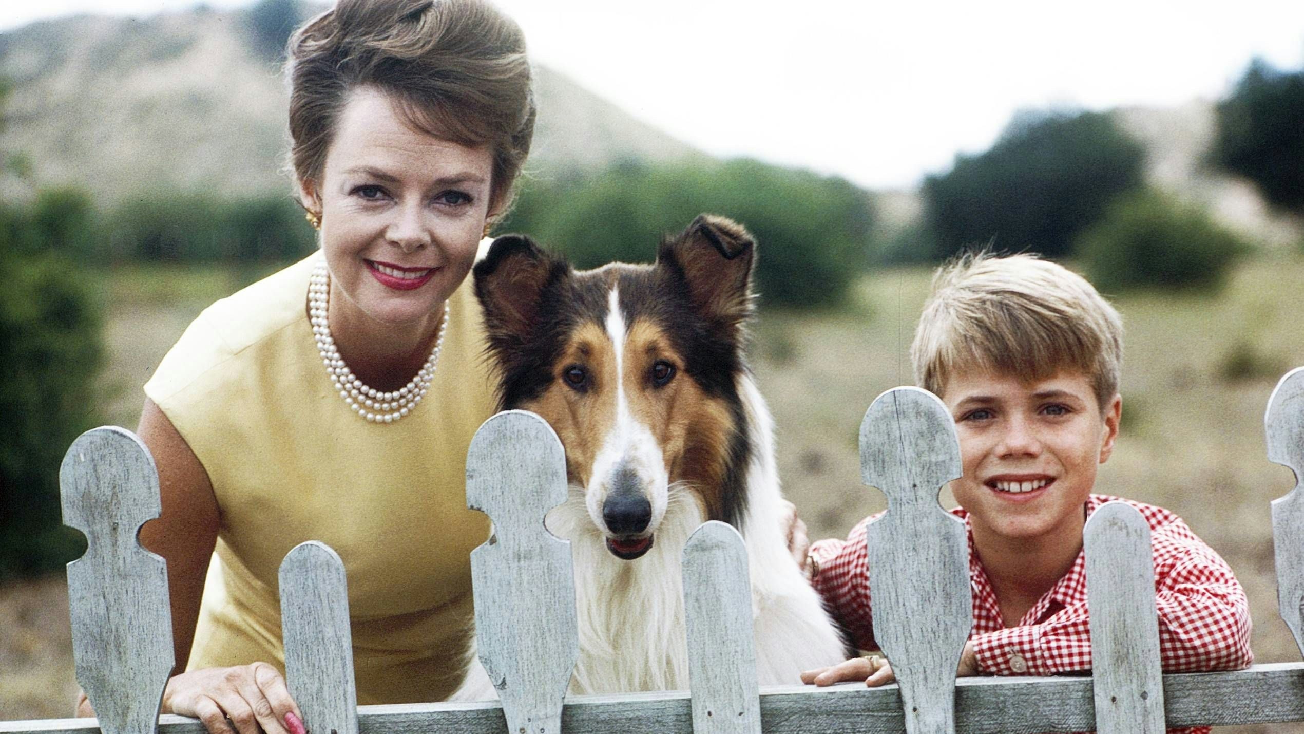Heute.at - Trauer um Lassie-Mama – June Lockhart ist tot