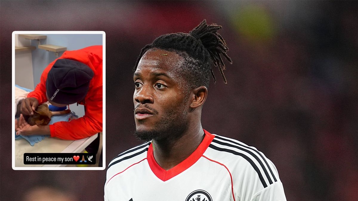 Heute.at - Star-Kicker trauert – in unseren Armen gegangen