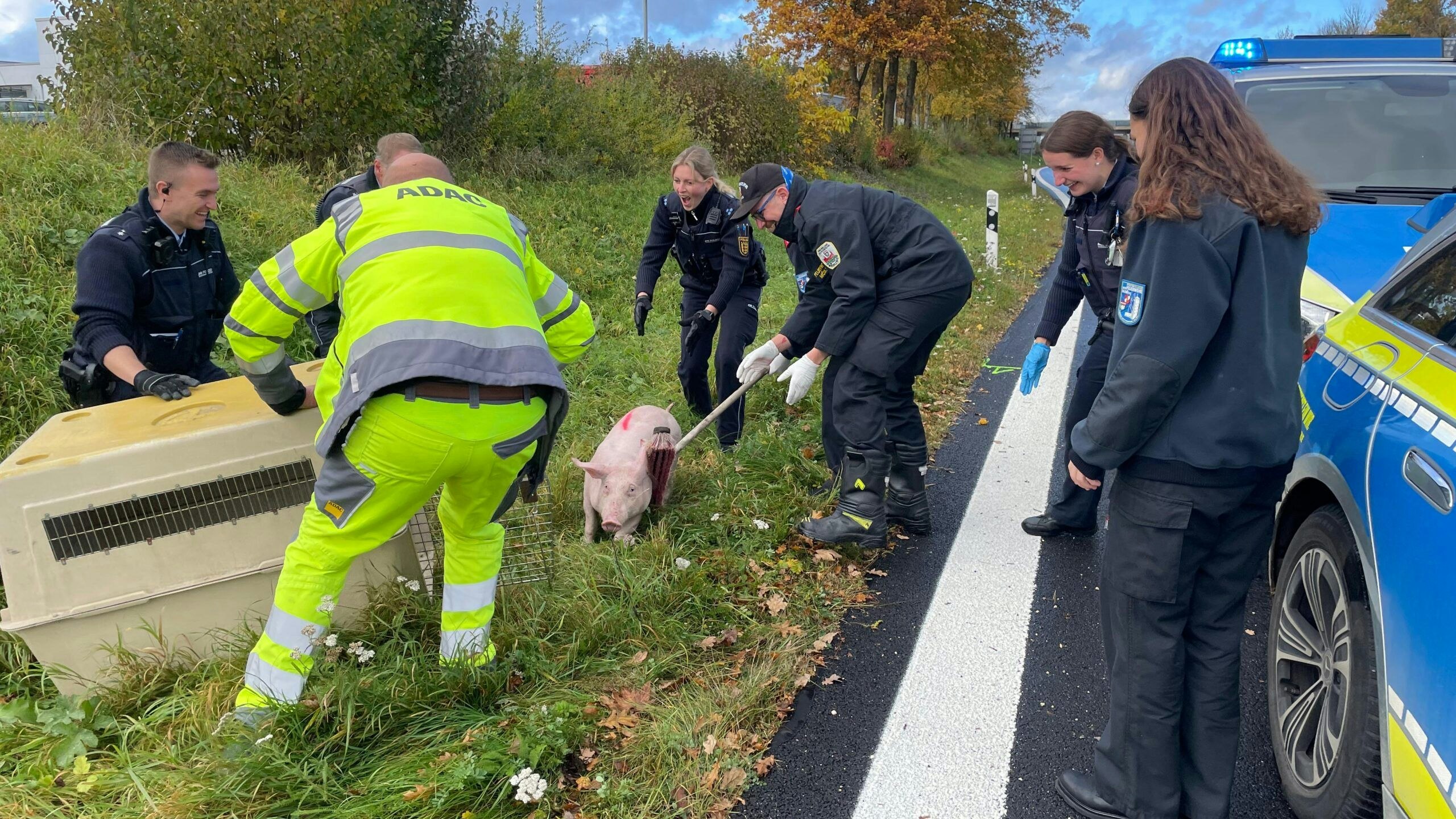 Heute.at - Schwein gehabt! Feuerwehr rettet Tier von Schnellstraße