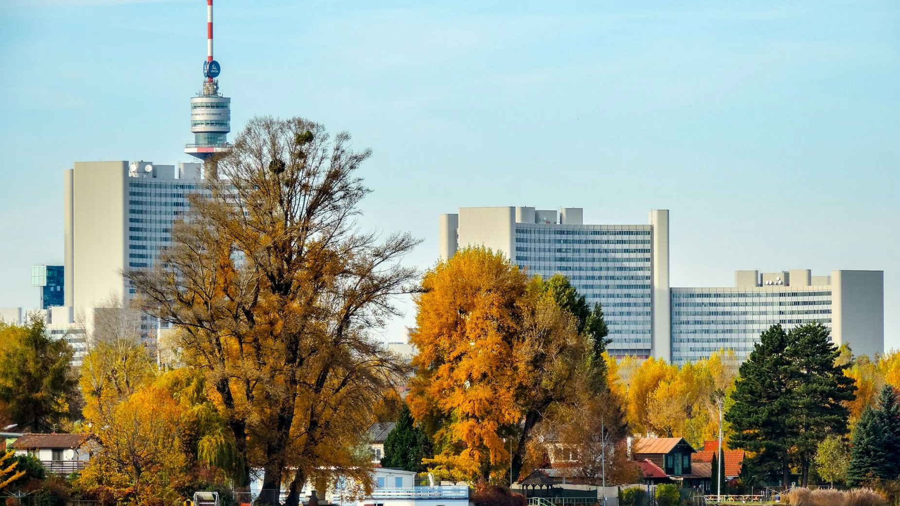 Heute.at - Auch im Herbst – Highlights an Wiens Donaugewässern