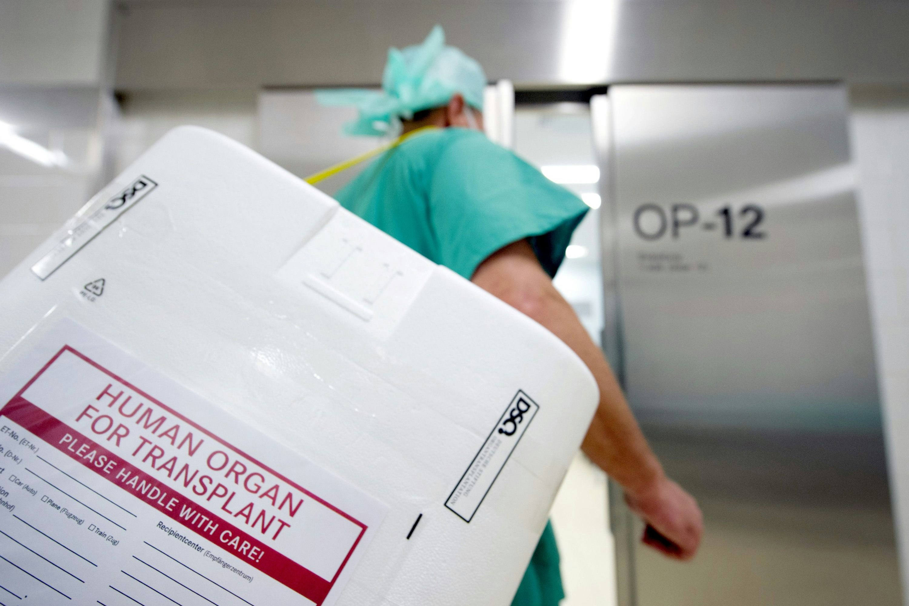 Die Vermittlung von Spenderorganen funktioniert europaweit online – ein Vorbild für das heimische Gesundheitssystem?