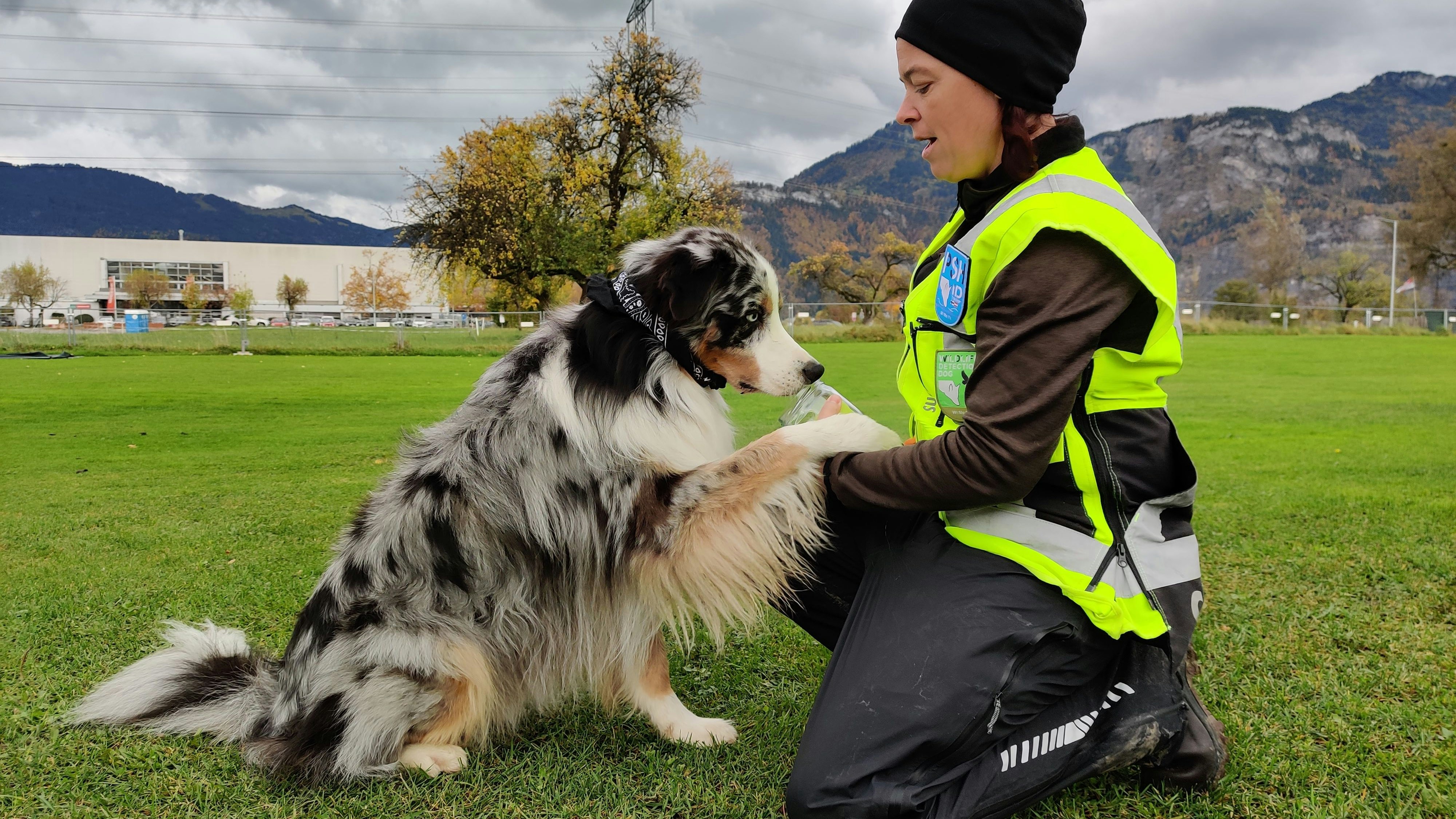 Rangerin Ursula Schelling hat bei "Inuki" bereits als Junghund mit der Nasenarbeit begonnen. 