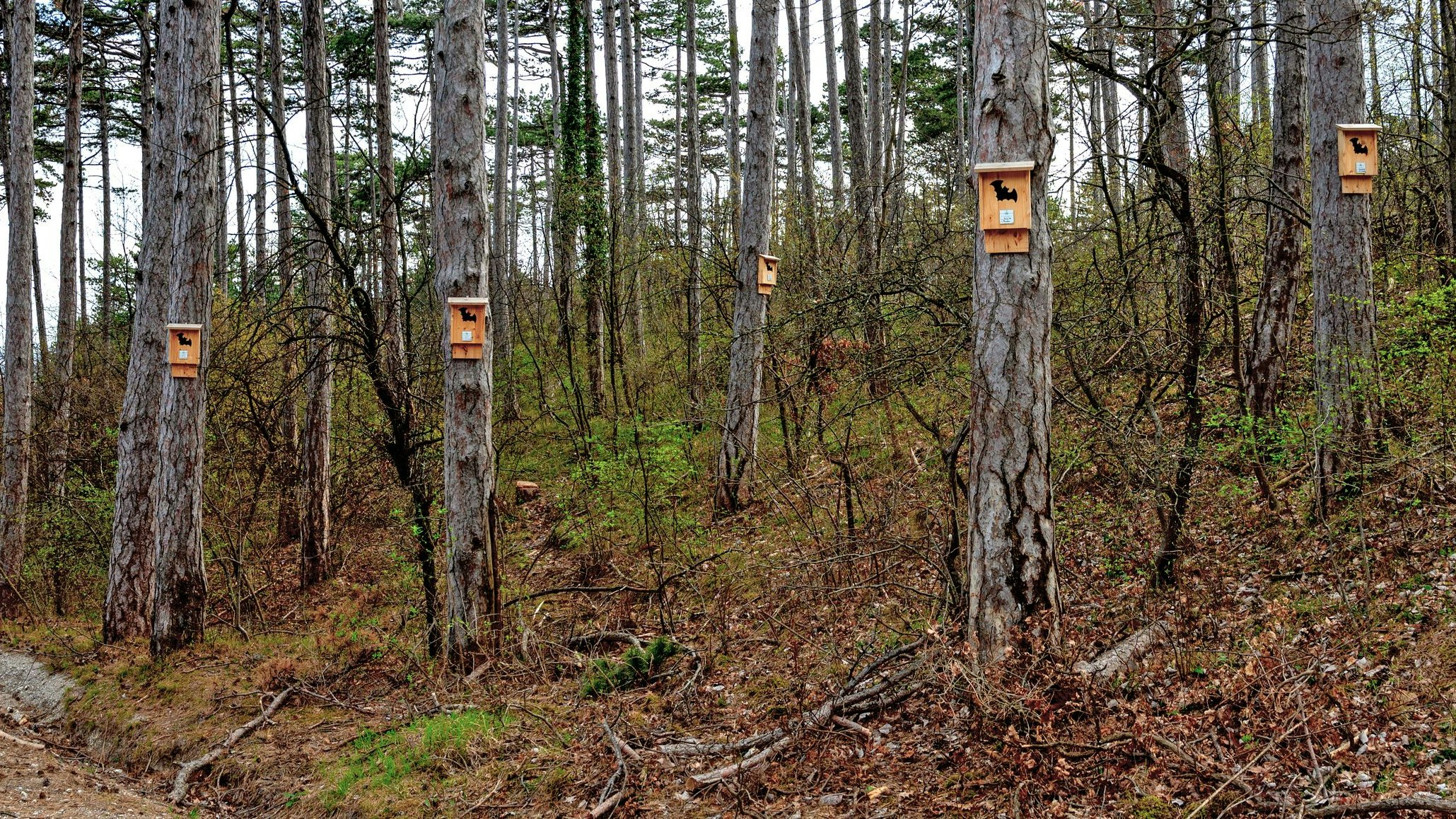 Heute.at - Halloween-Special: Warum der Batman Hilfe braucht!