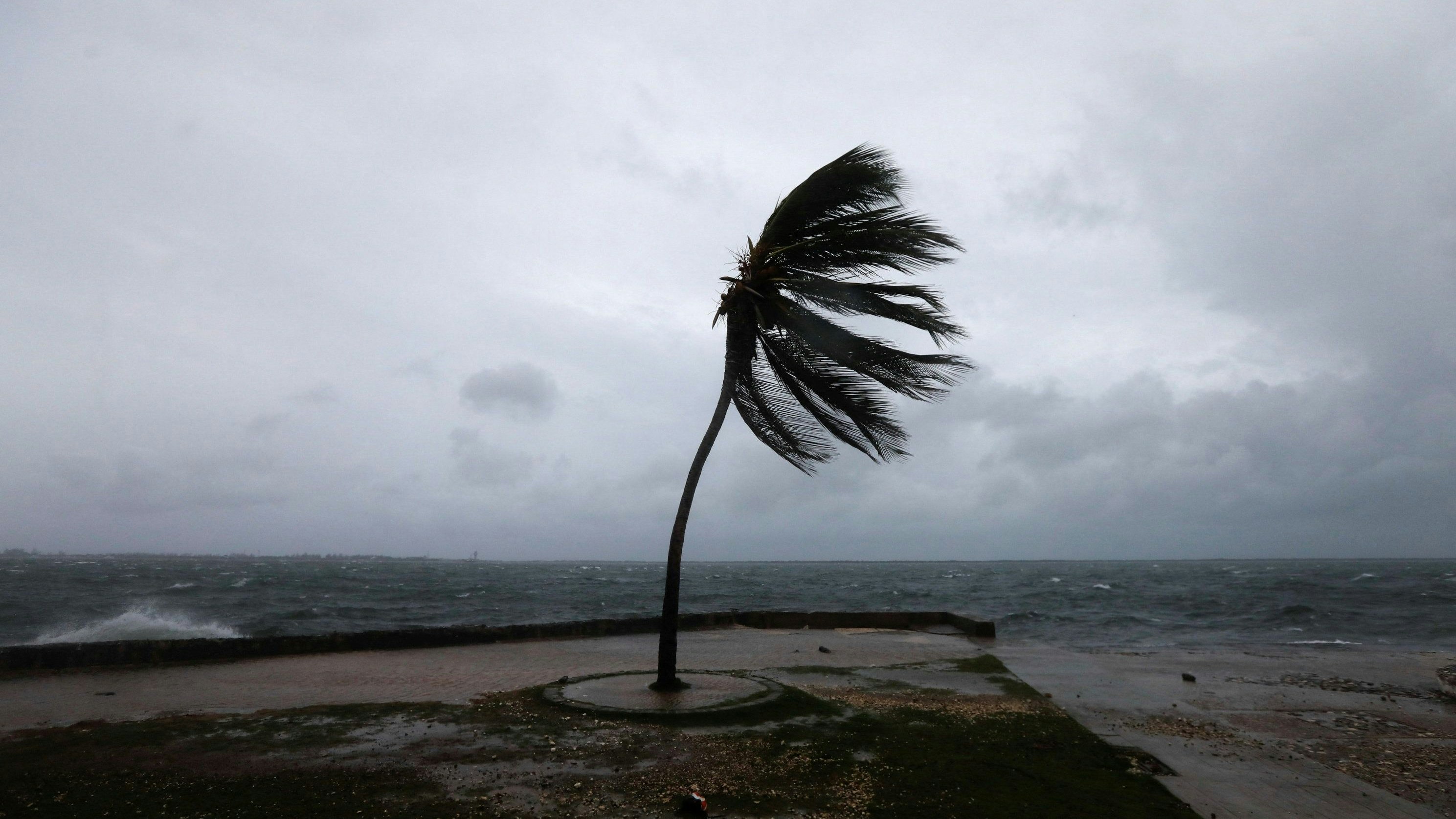 Heute.at - Horror-Hurrikan wird sich auch auf Österreich auswirken