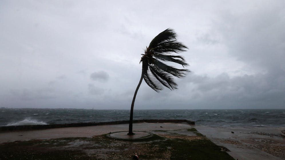 Heute.at - Horror-Hurrikan wird sich auch auf Österreich auswirken