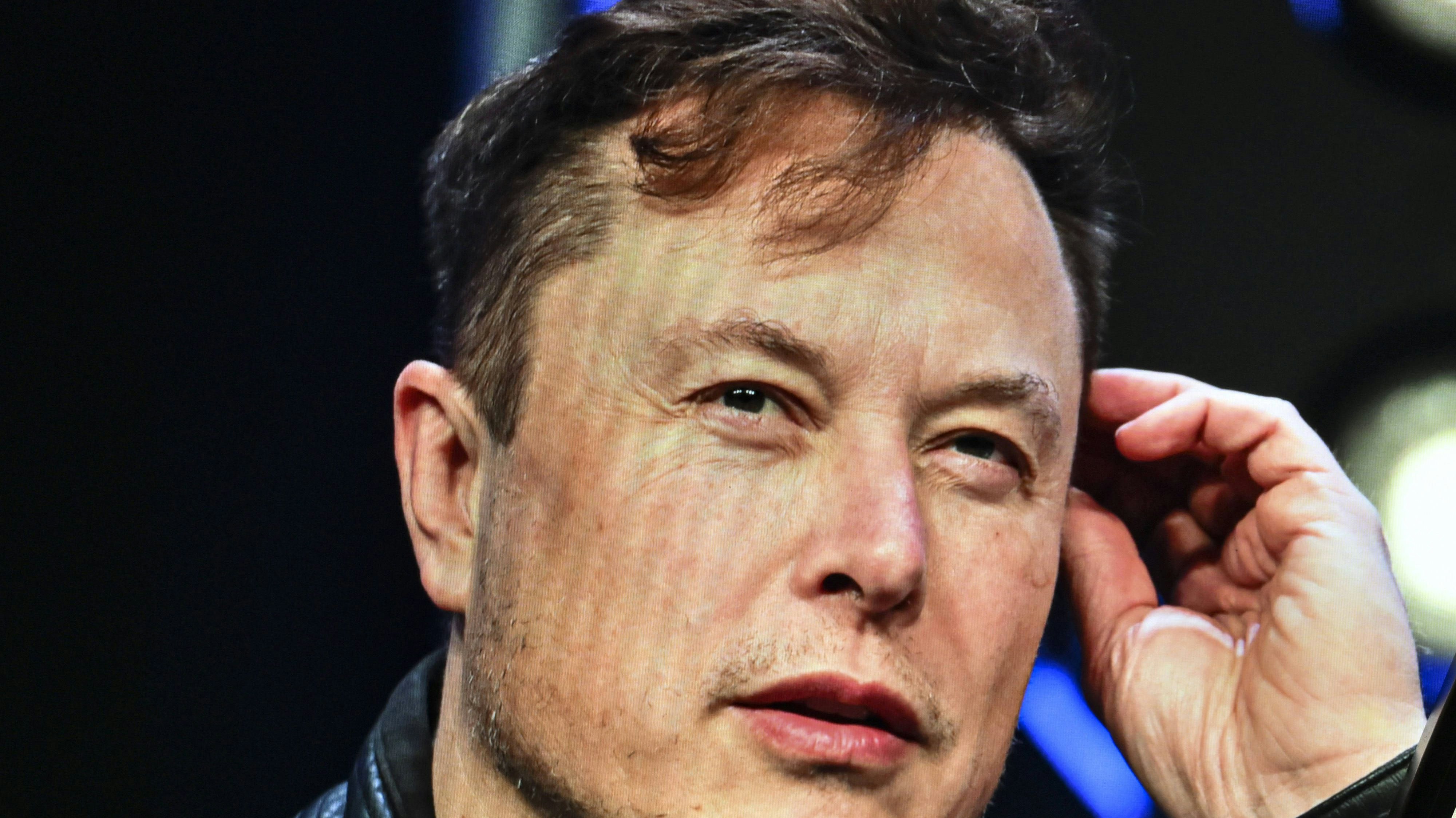 Heute.at - Musk bringt Konkurrenz für Wikipedia an den Start