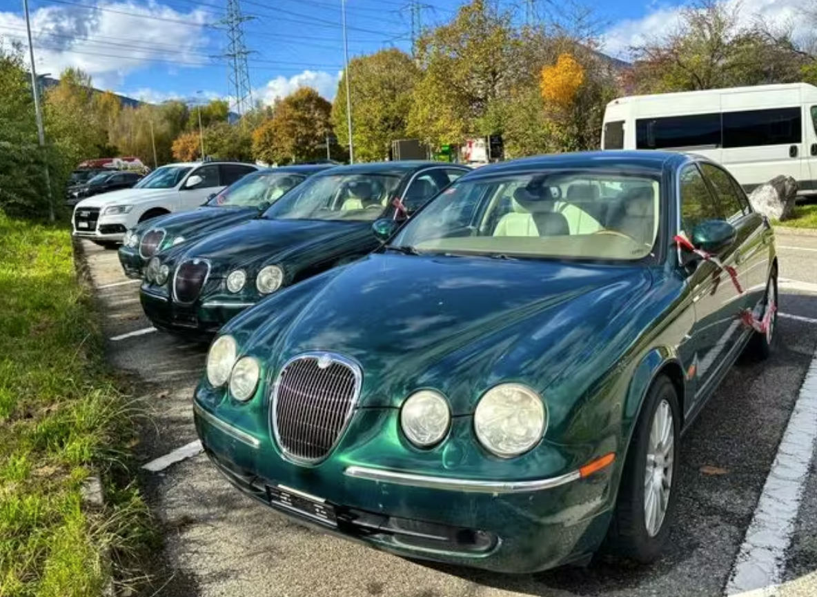 Die drei Jaguars vegetieren vor sich hin. 