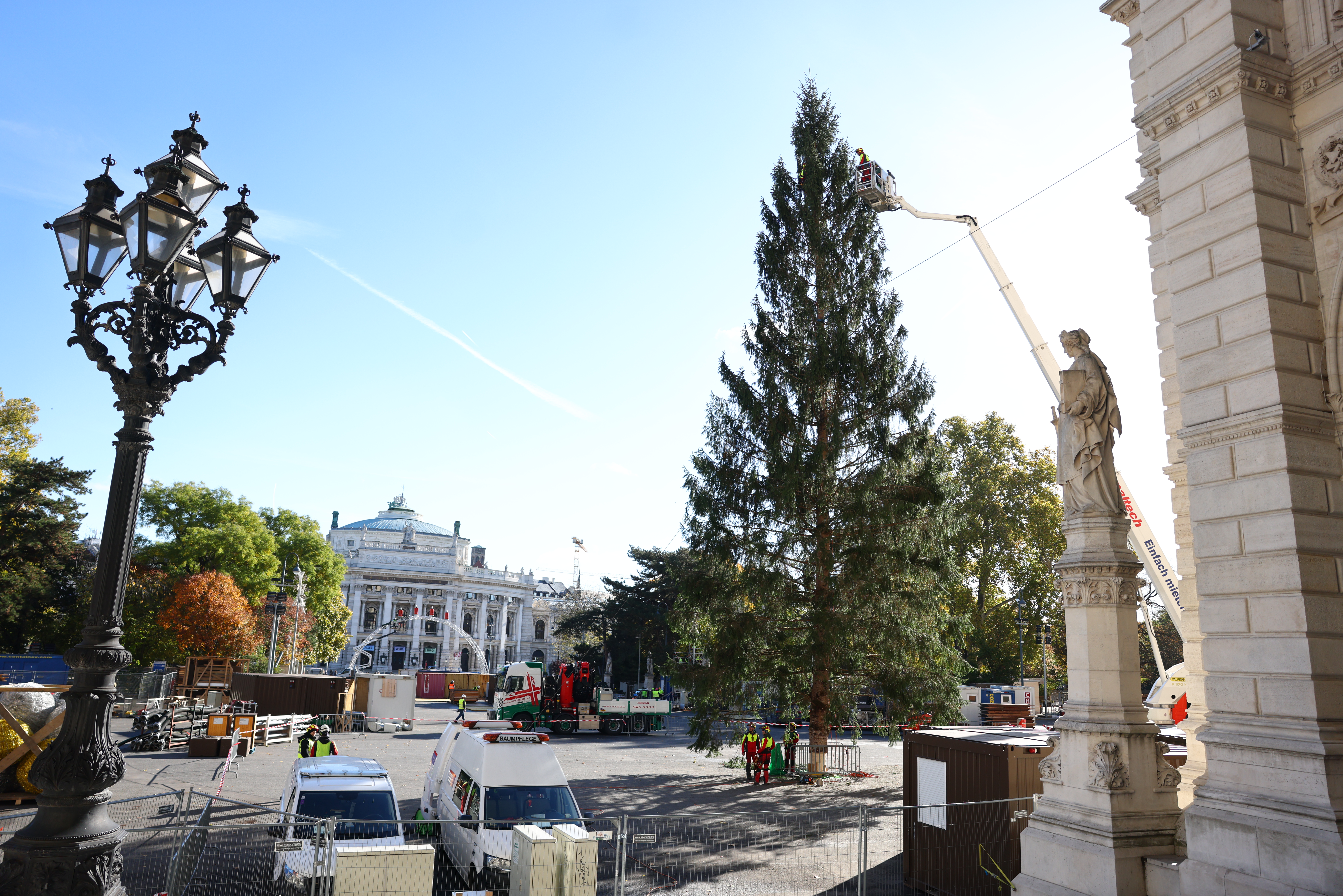 Der Christbaum auf dem Wiener Rathausplatz steht seit heute!