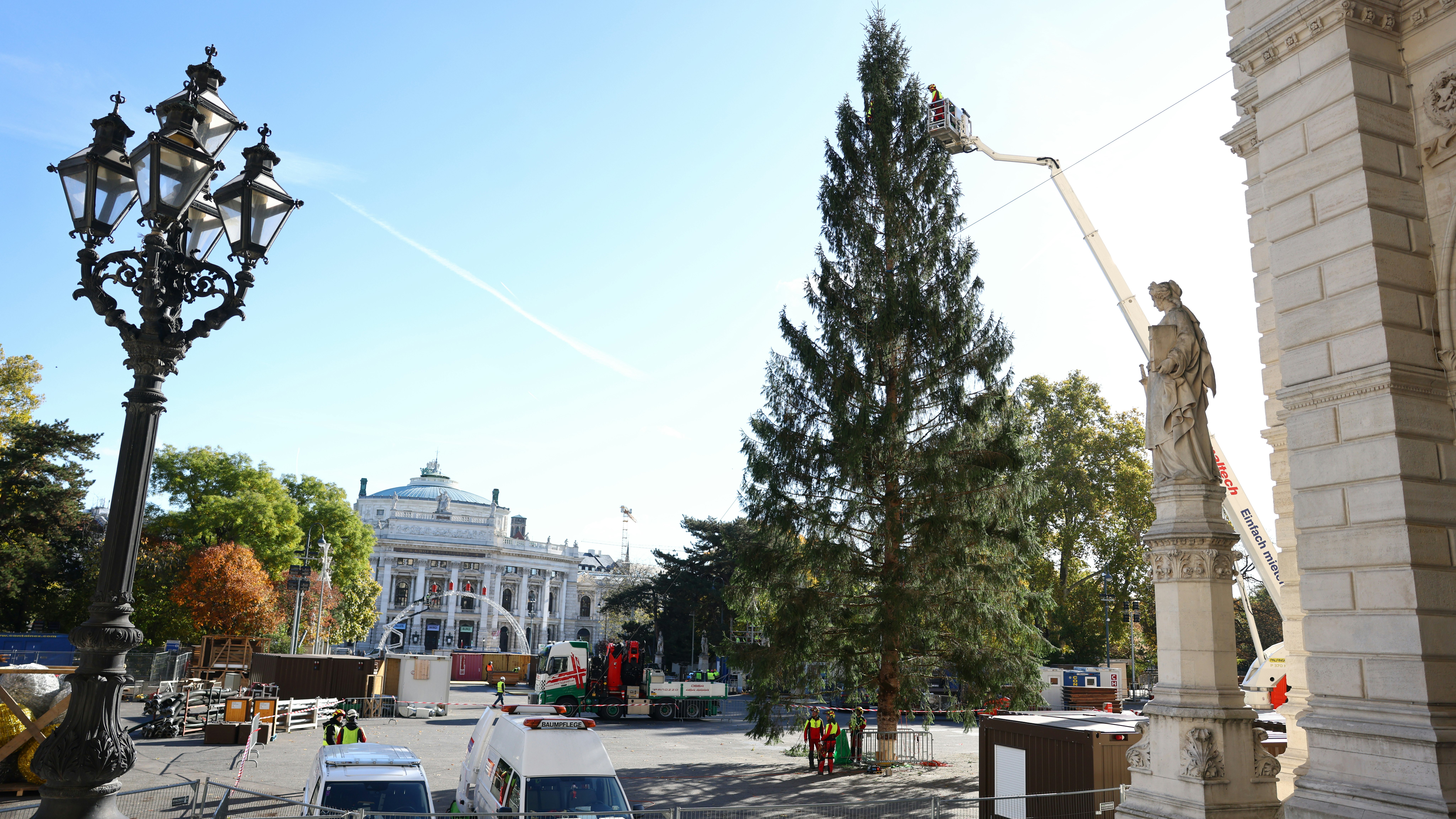 Heute.at - Schon vor Halloween – Christbaum am Rathausplatz steht